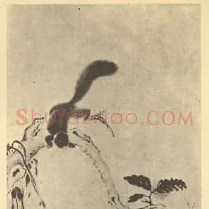 清代 华岩国画作品《栗鼠图》摘自 南画大成 卷七