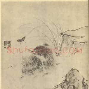 清代 汪恭国画作品《耄耋图》摘自 南画大成 卷七