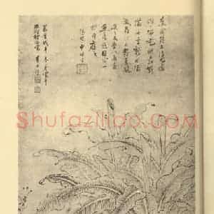 明代 李士达国画作品《蕉阴独酌图》摘自 南画大成 卷七