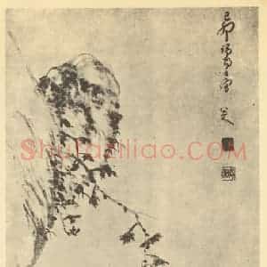 清代 朱耷国画作品《猫图》摘自 南画大成 卷七