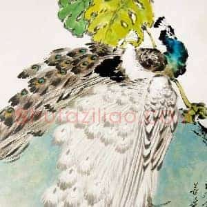 袁晓岑《袁晓岑孔雀》现代书画作品图片赏析