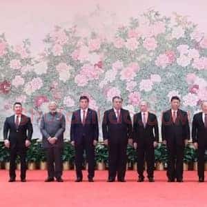 花开盛世《世上最大工笔画花开盛世》当代书画作品图片赏析