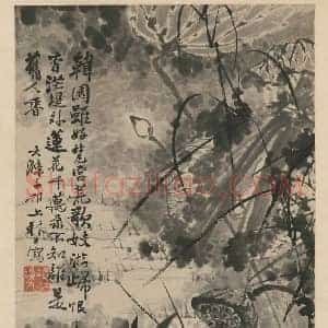 石涛《墨荷图》国画作品高清图片赏析