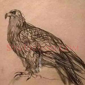黄胄《黄胄速写手稿100张》现代书画作品图片赏析