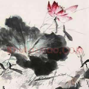 王雪涛娄师白《王雪涛娄师白荷花比较》现代书画作品图片赏析