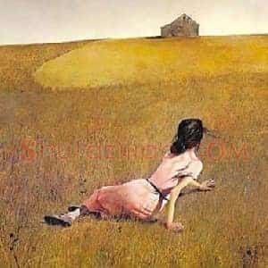艾轩《艾轩怀斯让我敲开了一扇门》当代书画作品图片赏析