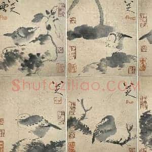 八大山人极品《花鸟册》国画作品高清图片赏析