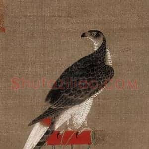 徐泽《徐泽架上鹰图》元代书画作品图片赏析
