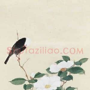 谢稚柳《谢稚柳茶花山禽》现代书画作品图片赏析