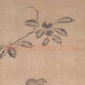 葛叔英《葛叔英松鼠戏果图》宋代书画作品图片赏析