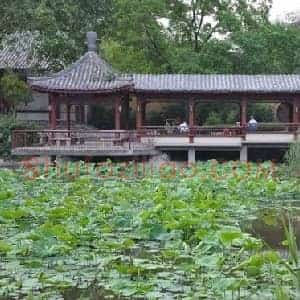 李可染《李可染的绘画历程》现代书画作品图片赏析
