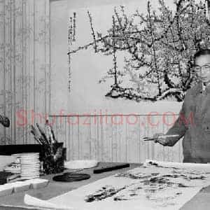 赖少其《赖少其山水画》现代书画作品图片赏析