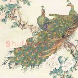 田世光《田世光笔下的孔雀》现代书画作品图片赏析