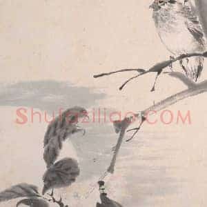 任颐花鸟蔬果册页图赏 国画作品高清图片赏析