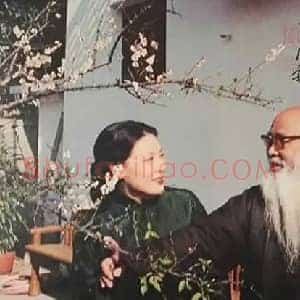 张大千《张大千笔下的高颜值美女》现代书画作品图片赏析
