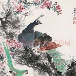 王雪涛《王雪涛孔雀详解》现代书画作品图片赏析
