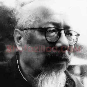 丁辅之《丁辅之书画》现代书画作品图片赏析