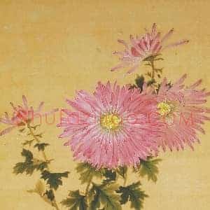 王延格《王延格菊谱图》清代书画作品图片赏析