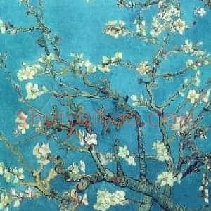 梵高《杏花梵高家族唯一不肯出售的画作》近代书画作品图片赏析