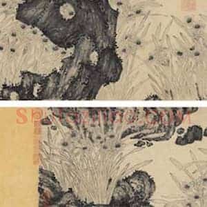 明代水仙画《明代水仙画》明代书画作品图片赏析