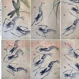 齐白石册页《虾戏图》国画作品高清图片赏析