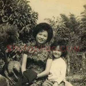 张心瑞《张大千长女张心瑞逝世》当代书画作品图片赏析