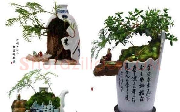 甘肃盆景达人将废酒瓶变身艺术品