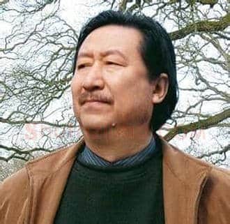 杨晓阳:文化追求的目标应明确