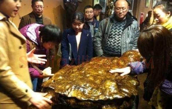 金丝楠家具市场乱象假话齐飞:购买还需理性消费
