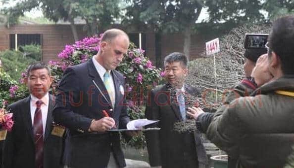 台湾收藏家获最多珍稀盆栽树收藏吉尼斯纪录