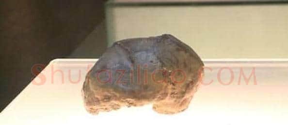 60万年前资深美女头骨露真容