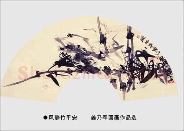 姜乃军的一花一世界