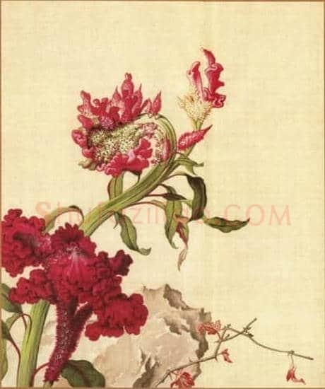 两岸故宫联展 郎世宁的前生今世