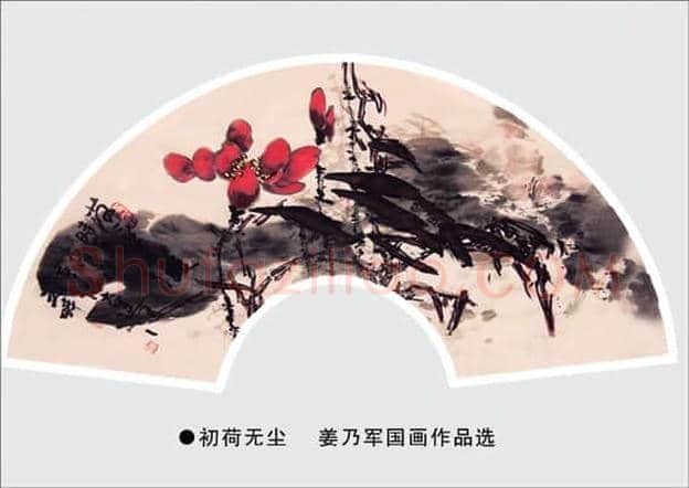 姜乃军的一花一世界