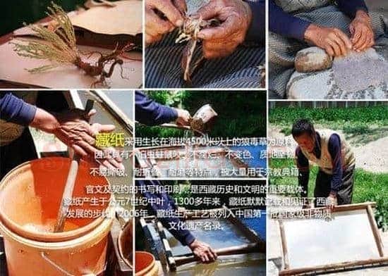 古法造纸能否成中国贵族新专属