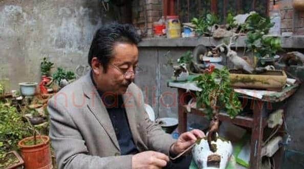 甘肃盆景达人将废酒瓶变身艺术品