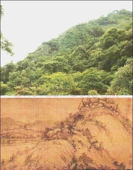 珍稀币枣红背绿的前世今生