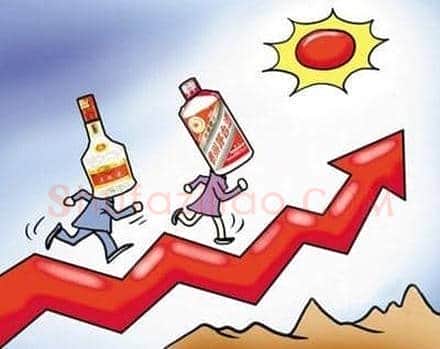 茅台十年神话落幕 高等光环遭重磅炸弹
