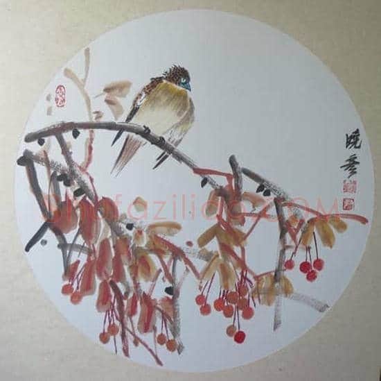谈我的灵禽百态系列-- 尹晓彦