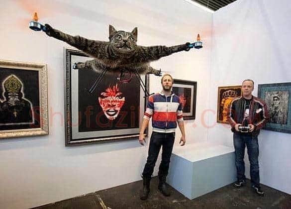 荷兰艺术家把宠物猫变成直升飞机