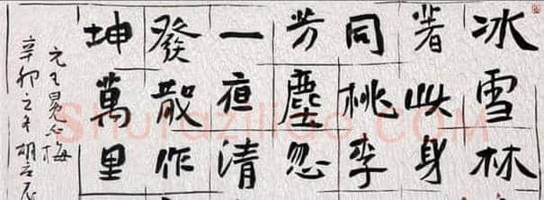 书法家胡立民:书以载道 承古开今(图)