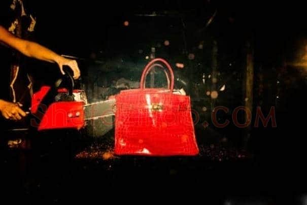为艺术烧毁价值近10万美元爱马仕包