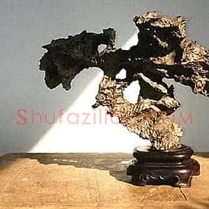 文玩盆景成收藏界新贵