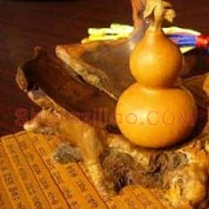 2014年的五匹文玩黑马