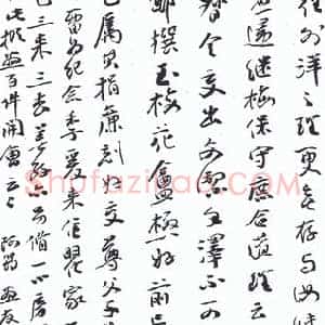 张大千的悲哀：张氏履历笺证