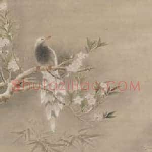 荣宝秋拍精品：张大千《桃花翠鸟》