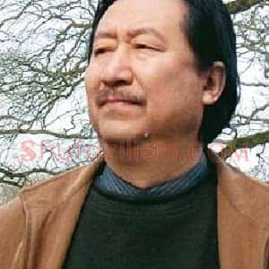 杨晓阳：文化追求的目标应明确