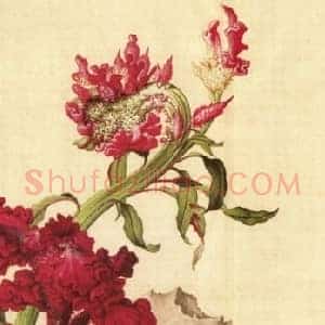 两岸故宫联展 郎世宁的前生今世